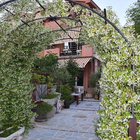 Apartments Scepanovic Tivat Exterior photo