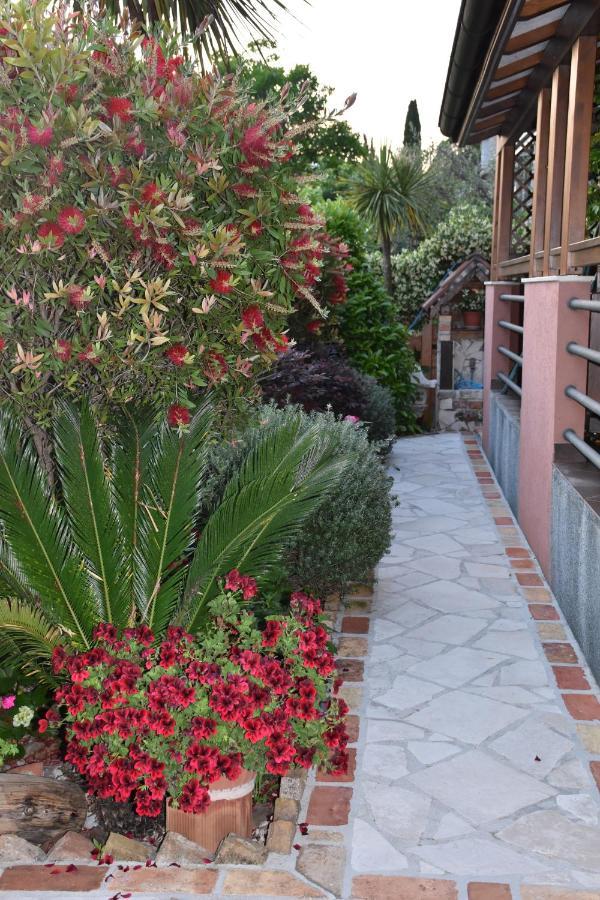 Apartments Scepanovic Tivat Exterior photo
