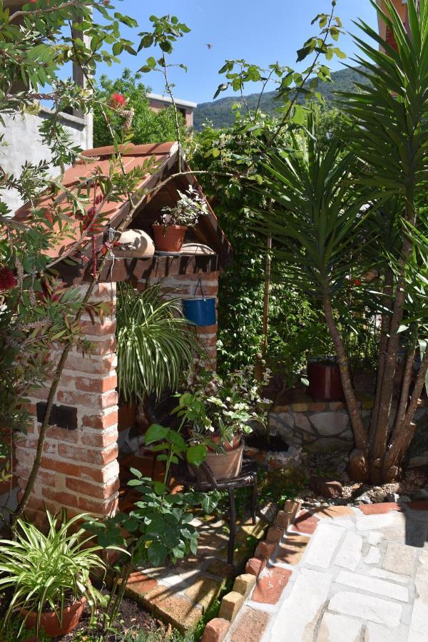 Apartments Scepanovic Tivat Exterior photo