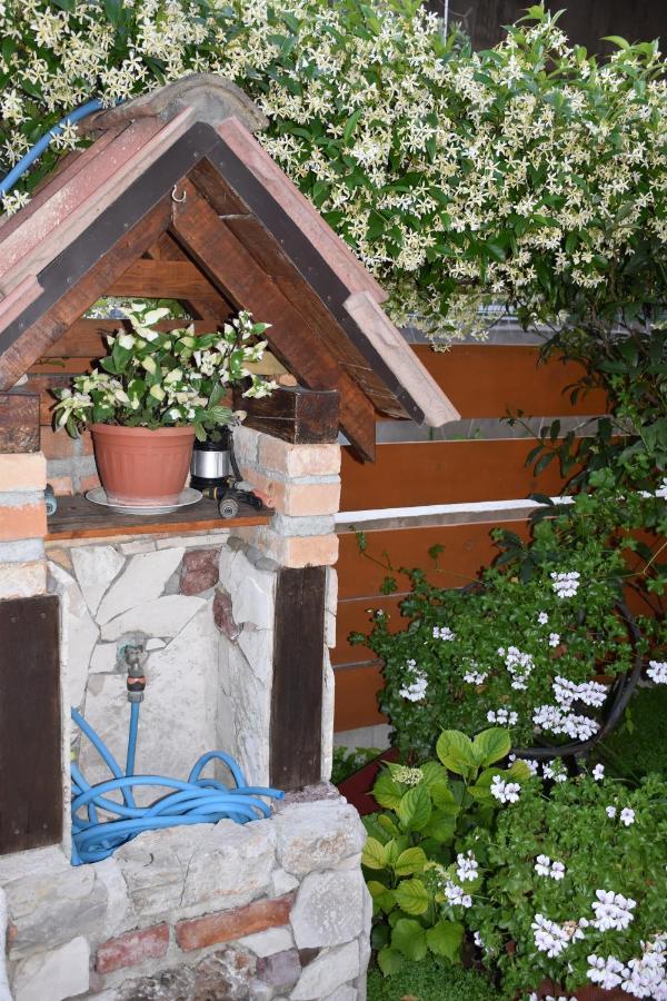 Apartments Scepanovic Tivat Exterior photo