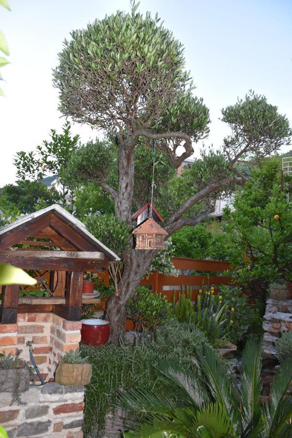 Apartments Scepanovic Tivat Exterior photo